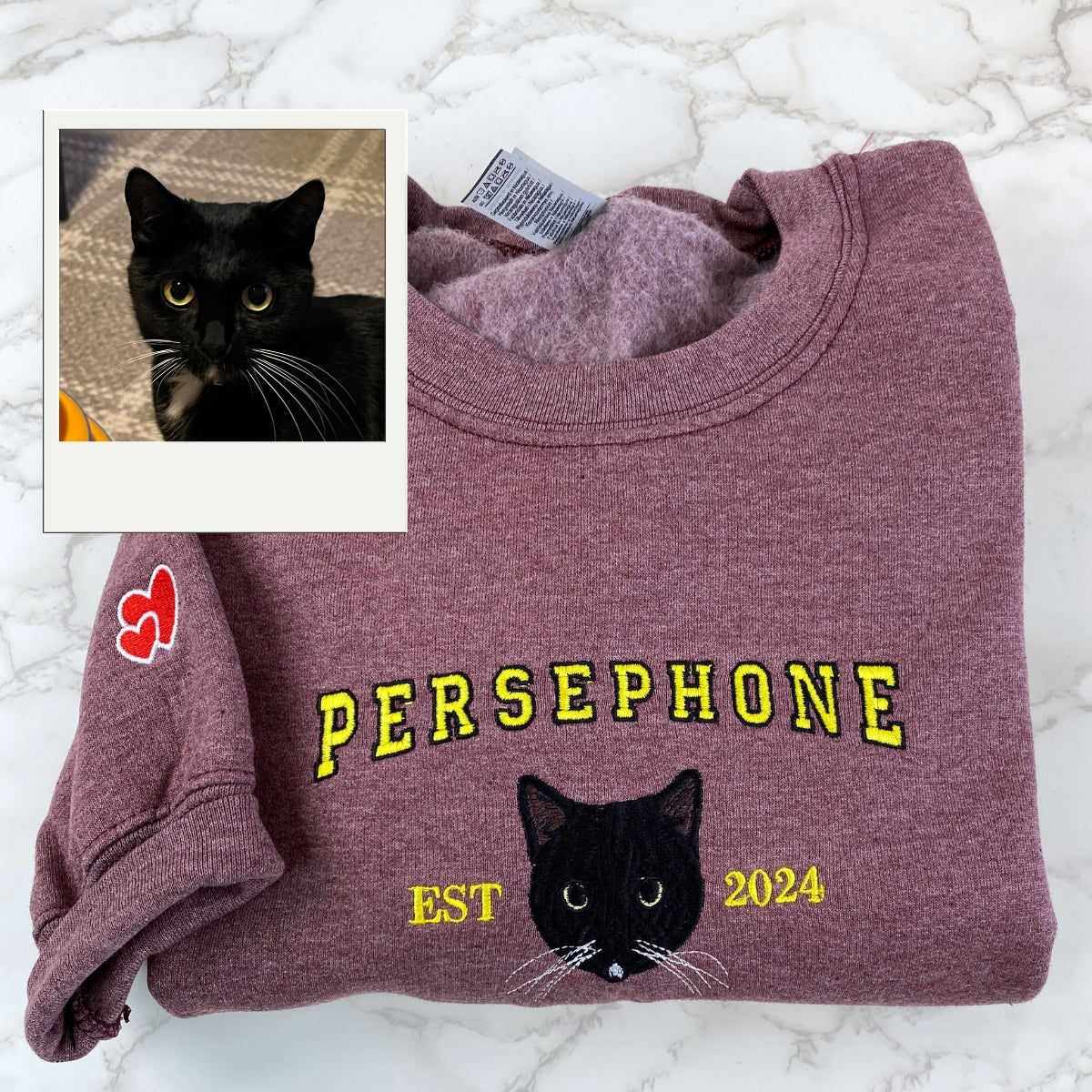 Custom Cat Portrait Embroidered Hoodie - Personalized Pet Varsity - Cat Anniversary Gift